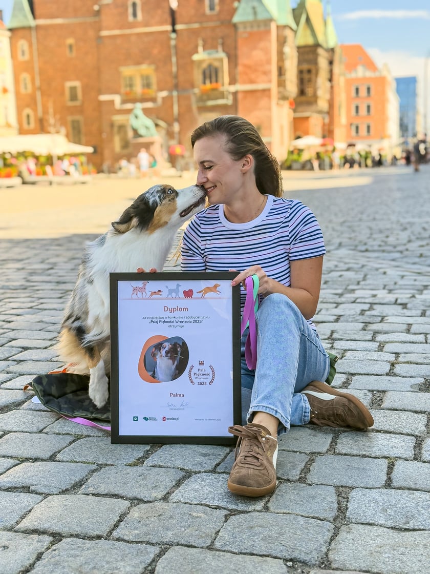 Palma zajęła pierwsze miejsce w konkursie Psia Piękność. To owczarek autralijski, piesek, kt&oacute;ry lubi mieć co robić