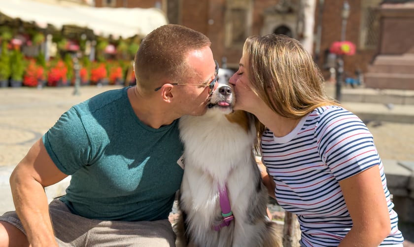 Palma zajęła pierwsze miejsce w konkursie Psia Piękność - buziaki od opiekun&oacute;w