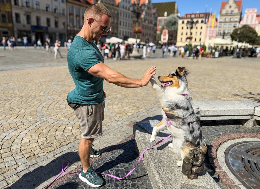 Palma zajęła pierwsze miejsce w konkursie Psia Piękność - uwielbia przybijać piąteczki