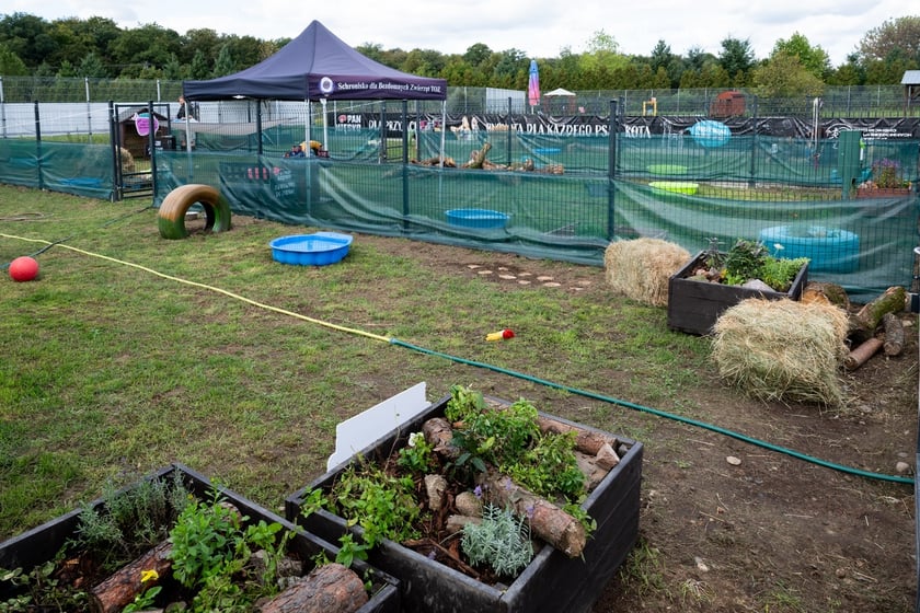 TOZ&nbsp;Schronisko dla Bezdomnych Zwierząt &ndash; otwarcie trzech nowych wybieg&oacute;w