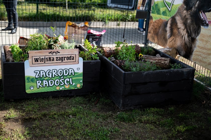 TOZ&nbsp;Schronisko dla Bezdomnych Zwierząt &ndash; otwarcie trzech nowych wybieg&oacute;w