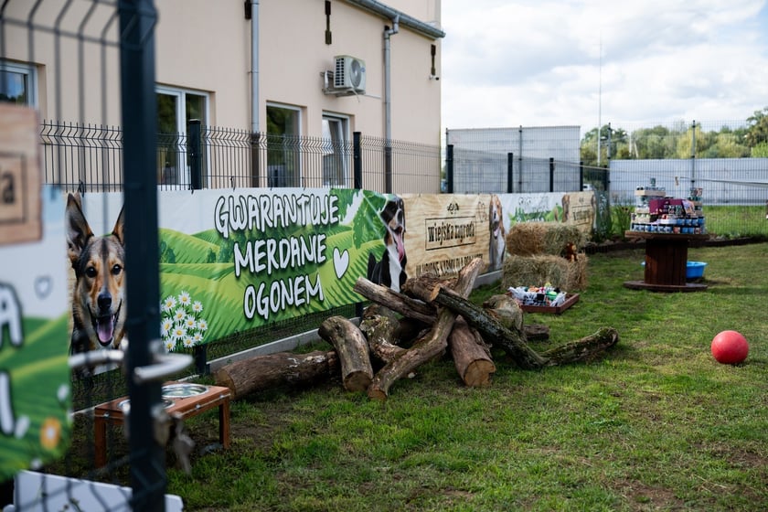 TOZ&nbsp;Schronisko dla Bezdomnych Zwierząt &ndash; otwarcie trzech nowych wybieg&oacute;w