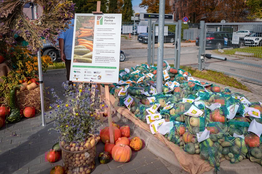 Piknik dla uczczenia jubileuszu 20-lecia Wrocławskiego Centrum Integracji - 19 września