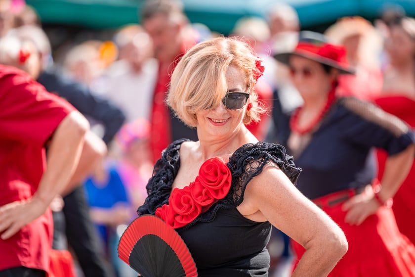 Wrocławskie Dni Seniora 2025