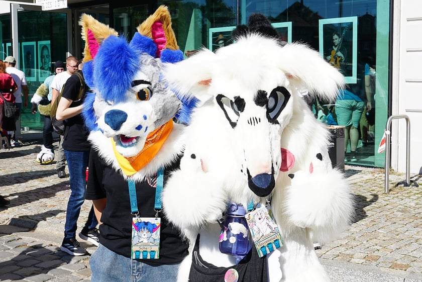 Futrzaki opanowały Wrocław - marsz Furwalk 2025