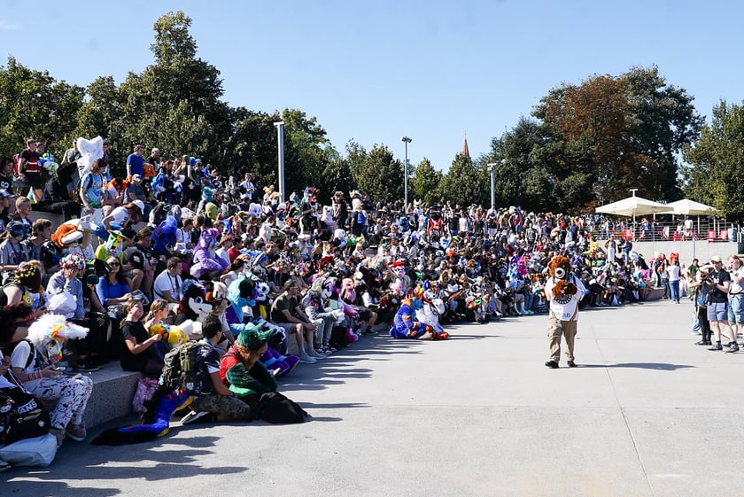 Futrzaki opanowały Wrocław - marsz Furwalk 2025