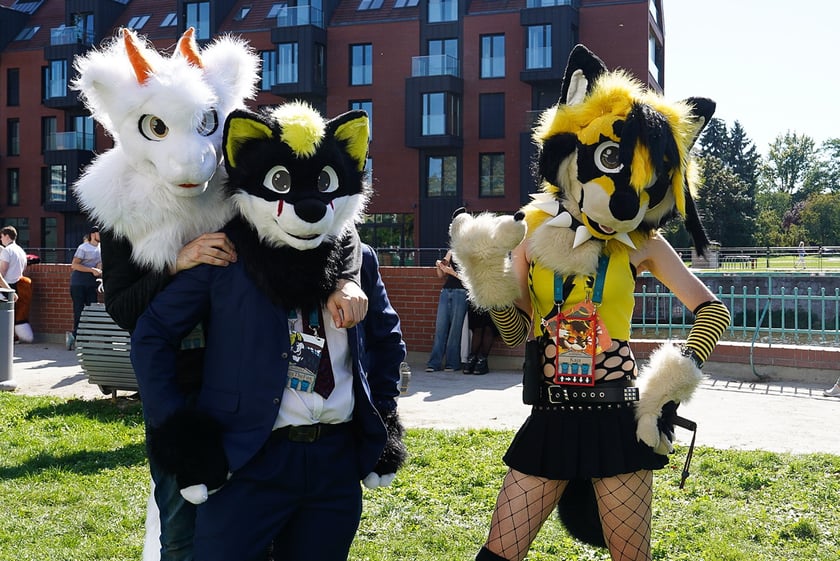 Futrzaki opanowały Wrocław - marsz Furwalk 2025