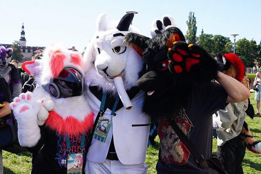 Futrzaki opanowały Wrocław - marsz Furwalk 2025