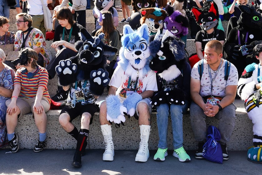 Futrzaki opanowały Wrocław - marsz Furwalk 2025