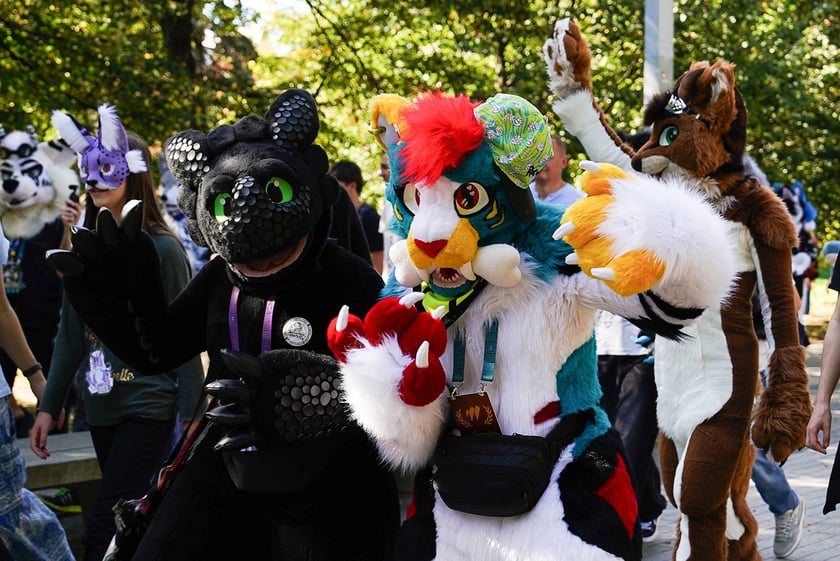 Futrzaki opanowały Wrocław - marsz Furwalk 2025