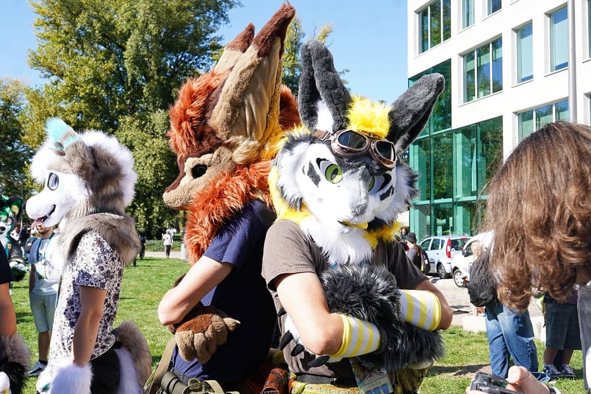 Futrzaki opanowały Wrocław - marsz Furwalk 2025