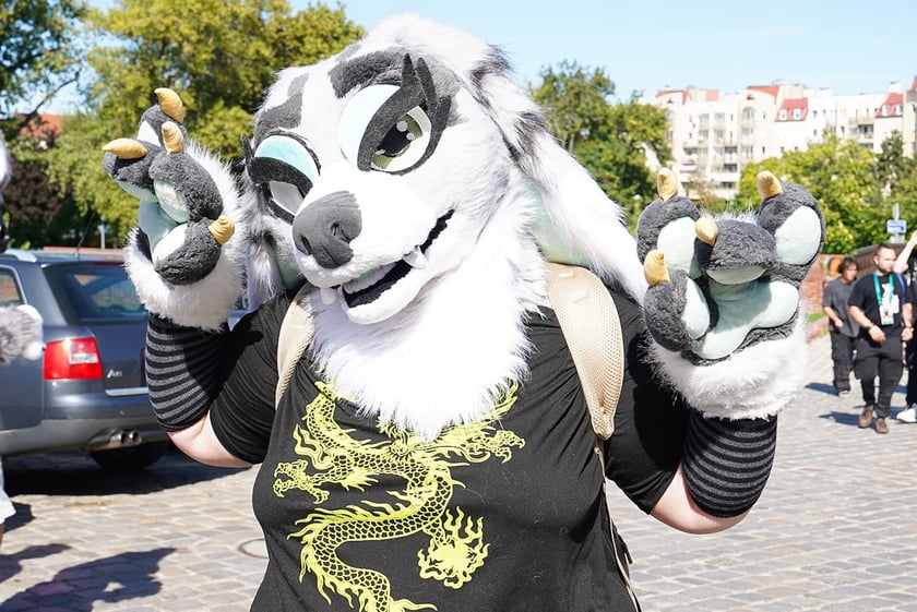 Futrzaki opanowały Wrocław - marsz Furwalk 2025