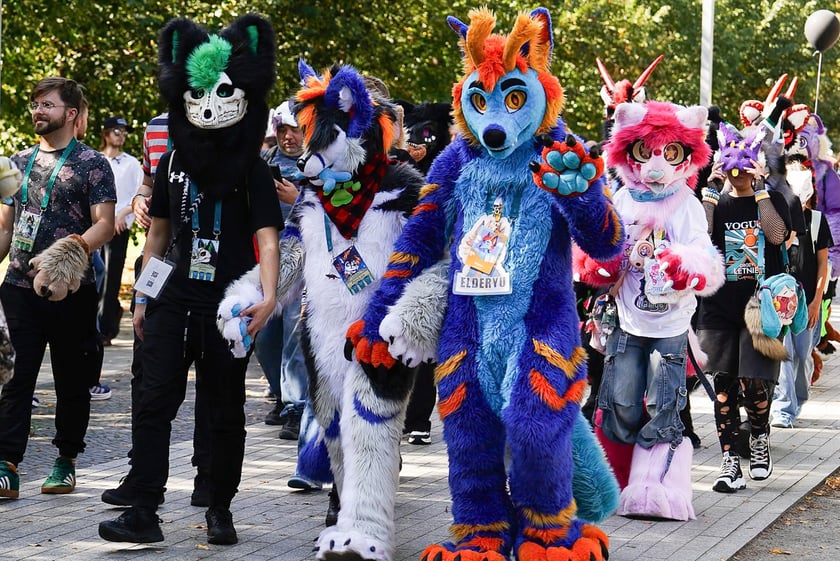 Futrzaki opanowały Wrocław - marsz Furwalk 2025