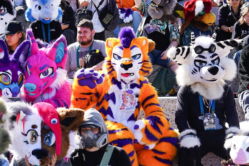 Futrzaki opanowały Wrocław - marsz Furwalk 2025