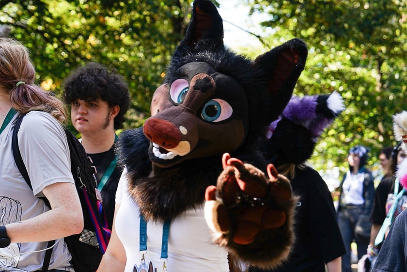 Futrzaki opanowały Wrocław - marsz Furwalk 2025