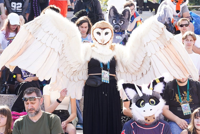 Futrzaki opanowały Wrocław - marsz Furwalk 2025