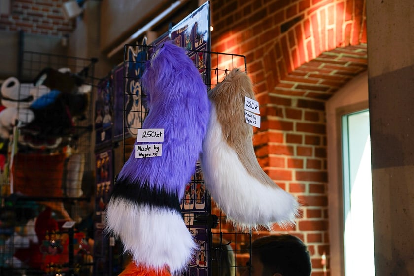 Futrzaki opanowały Wrocław - marsz Furwalk 2025