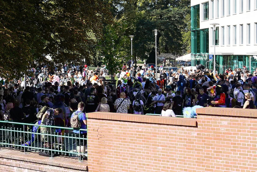 Futrzaki opanowały Wrocław - marsz Furwalk 2025