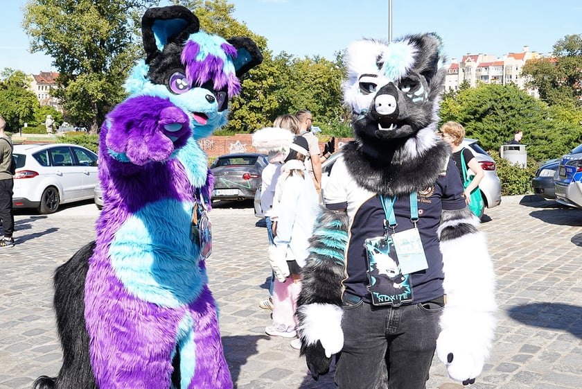 Futrzaki opanowały Wrocław - marsz Furwalk 2025