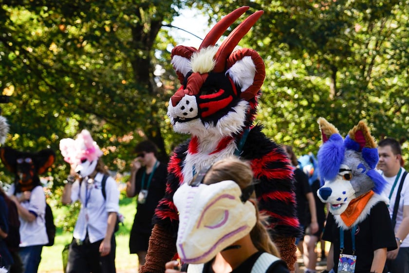 Futrzaki opanowały Wrocław - marsz Furwalk 2025