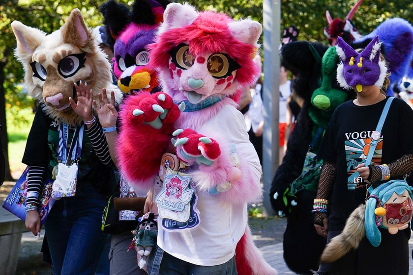 Futrzaki opanowały Wrocław - marsz Furwalk 2025