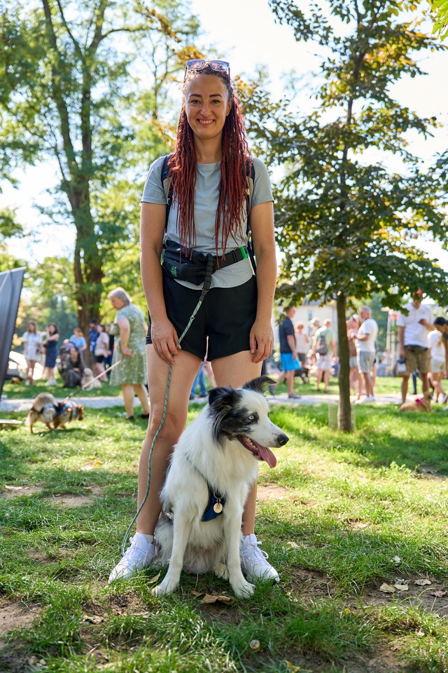 VI Parada Ps&oacute;w Wrocławskich przeszła przez miasto w niedzielę 21 września 2025&nbsp;