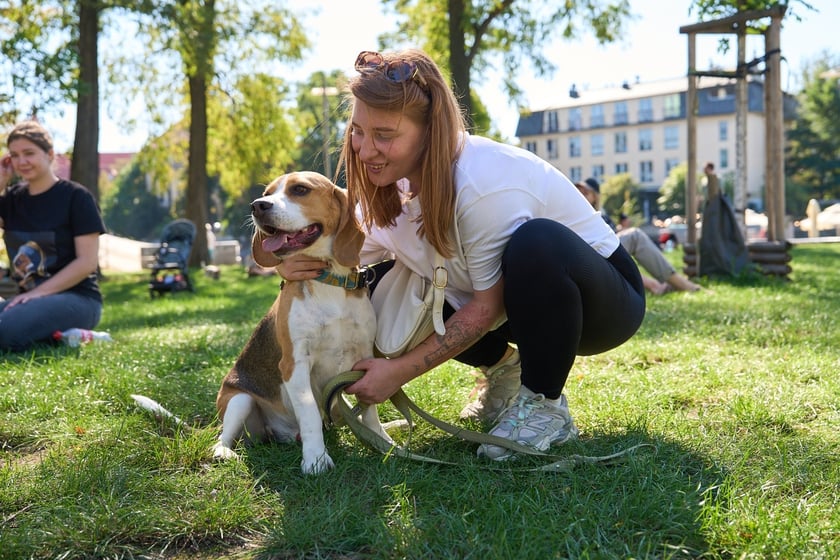 VI Parada Ps&oacute;w Wrocławskich przeszła przez miasto w niedzielę 21 września 2025&nbsp;