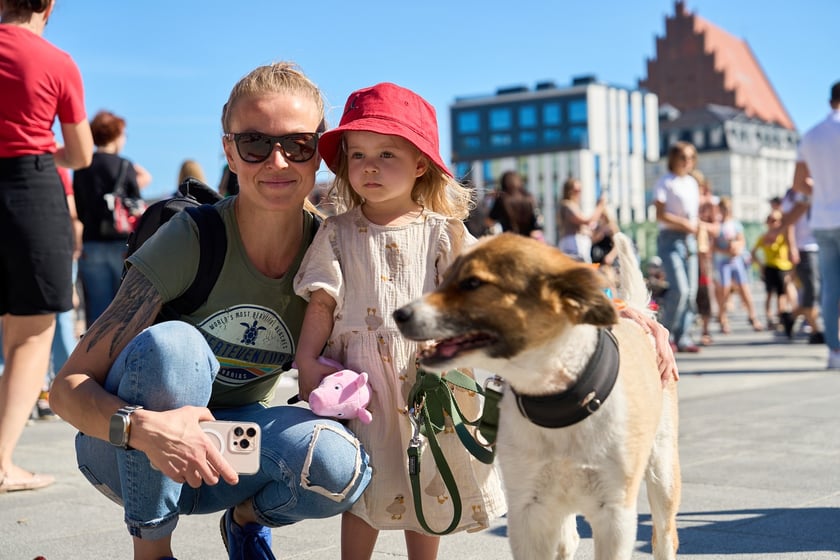 VI Parada Ps&oacute;w Wrocławskich przeszła przez miasto w niedzielę 21 września 2025&nbsp;