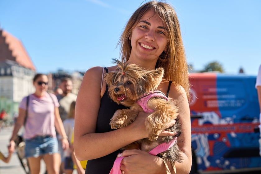 VI Parada Ps&oacute;w Wrocławskich przeszła przez miasto w niedzielę 21 września 2025&nbsp;