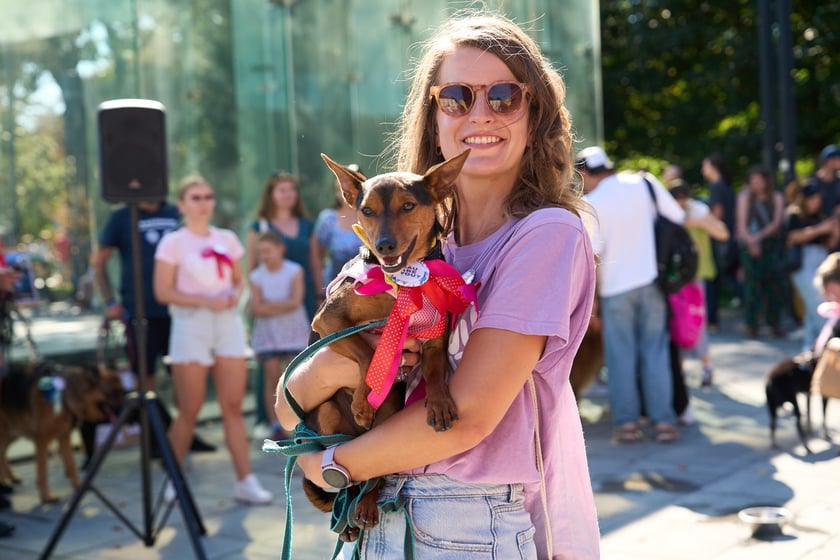 VI Parada Ps&oacute;w Wrocławskich przeszła przez miasto w niedzielę 21 września 2025&nbsp;