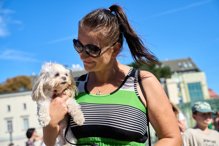 VI Parada Ps&oacute;w Wrocławskich przeszła przez miasto w niedzielę 21 września 2025&nbsp;