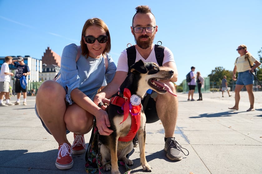 VI Parada Ps&oacute;w Wrocławskich przeszła przez miasto w niedzielę 21 września 2025&nbsp;