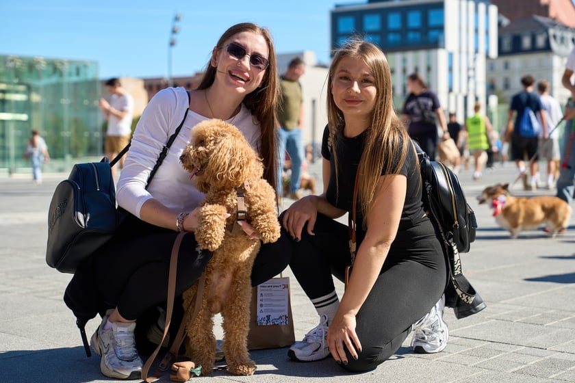 VI Parada Ps&oacute;w Wrocławskich przeszła przez miasto w niedzielę 21 września 2025&nbsp;