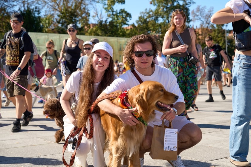 VI Parada Ps&oacute;w Wrocławskich przeszła przez miasto w niedzielę 21 września 2025&nbsp;