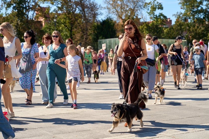 VI Parada Ps&oacute;w Wrocławskich przeszła przez miasto w niedzielę 21 września 2025&nbsp;