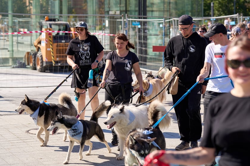 VI Parada Ps&oacute;w Wrocławskich przeszła przez miasto w niedzielę 21 września 2025&nbsp;