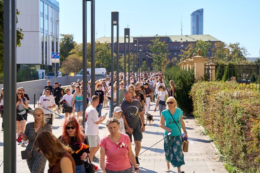 VI Parada Ps&oacute;w Wrocławskich przeszła przez miasto w niedzielę 21 września 2025&nbsp;