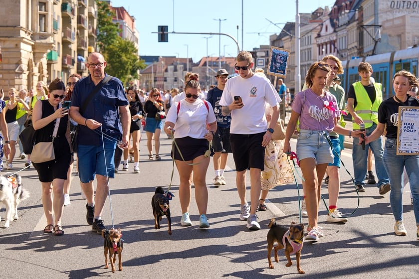 VI Parada Ps&oacute;w Wrocławskich przeszła przez miasto w niedzielę 21 września 2025&nbsp;