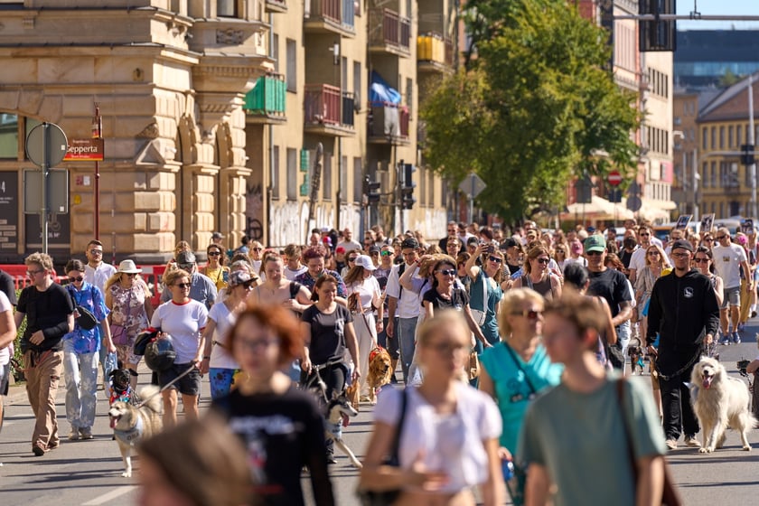 VI Parada Ps&oacute;w Wrocławskich przeszła przez miasto w niedzielę 21 września 2025&nbsp;