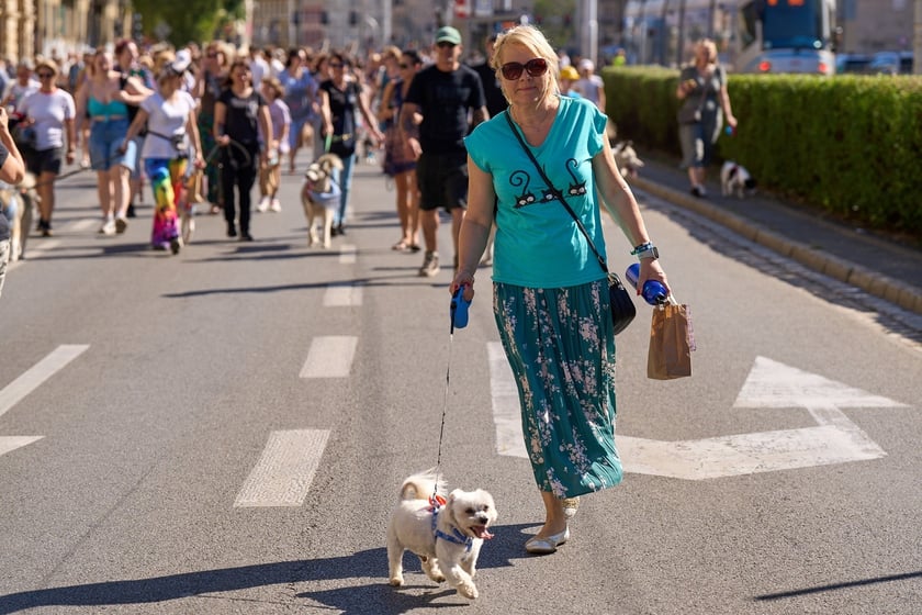 VI Parada Ps&oacute;w Wrocławskich przeszła przez miasto w niedzielę 21 września 2025&nbsp;