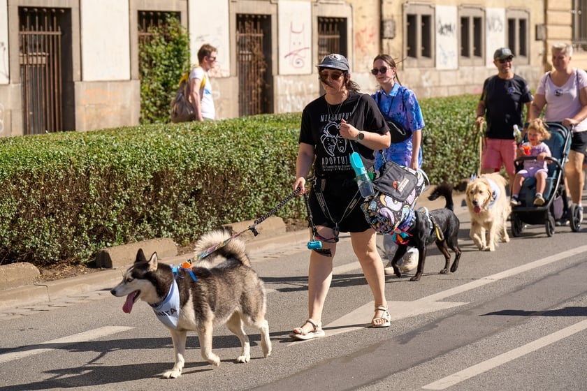 VI Parada Ps&oacute;w Wrocławskich przeszła przez miasto w niedzielę 21 września 2025&nbsp;
