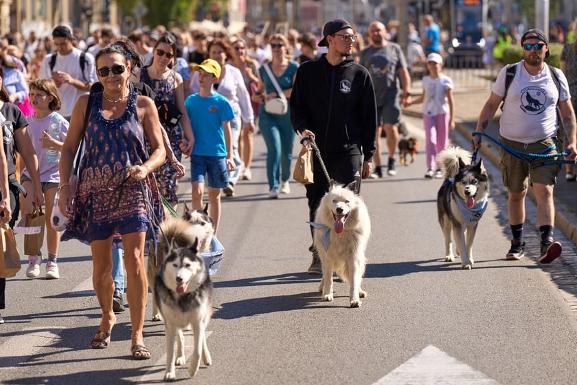 VI Parada Ps&oacute;w Wrocławskich przeszła przez miasto w niedzielę 21 września 2025&nbsp;