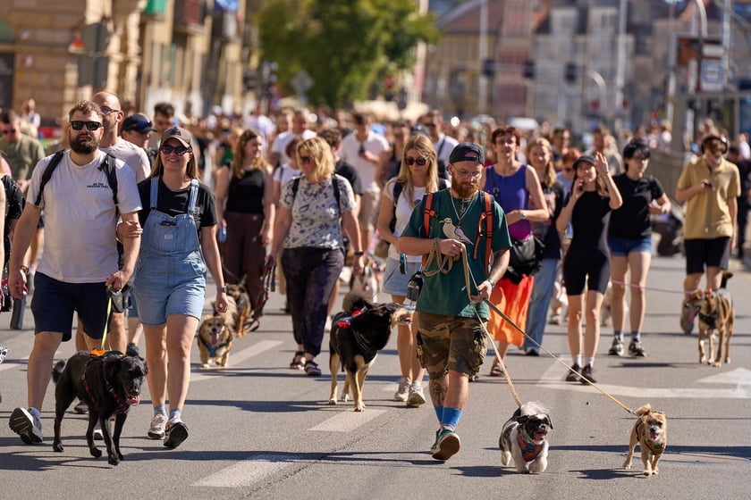 VI Parada Ps&oacute;w Wrocławskich przeszła przez miasto w niedzielę 21 września 2025&nbsp;