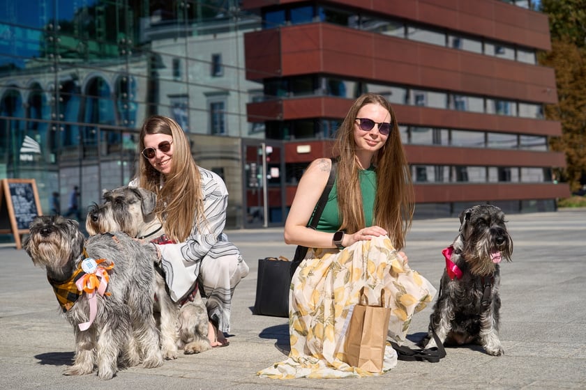 VI Parada Ps&oacute;w Wrocławskich przeszła przez miasto w niedzielę 21 września 2025&nbsp;