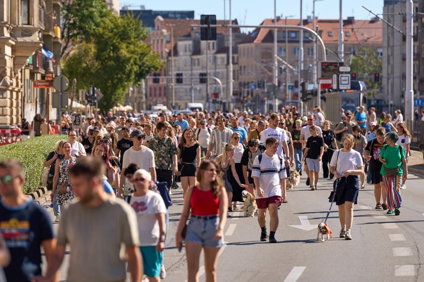 VI Parada Ps&oacute;w Wrocławskich przeszła przez miasto w niedzielę 21 września 2025&nbsp;
