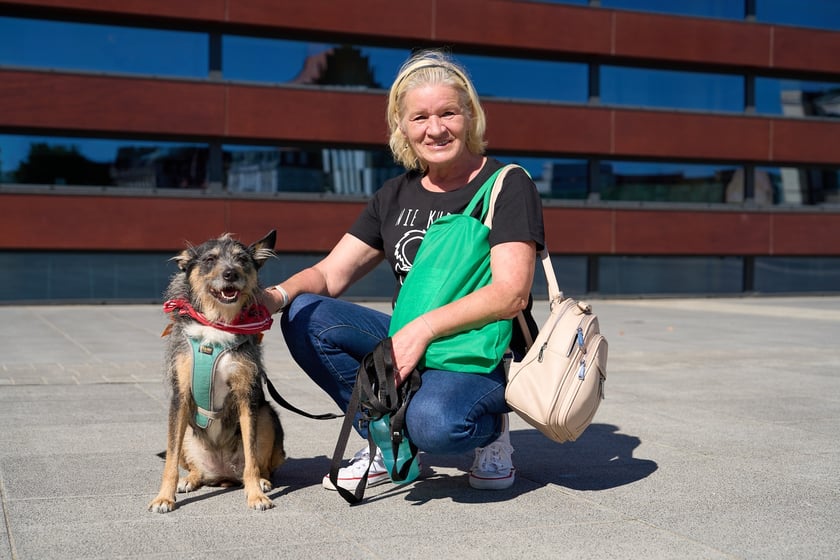 VI Parada Ps&oacute;w Wrocławskich przeszła przez miasto w niedzielę 21 września 2025&nbsp;