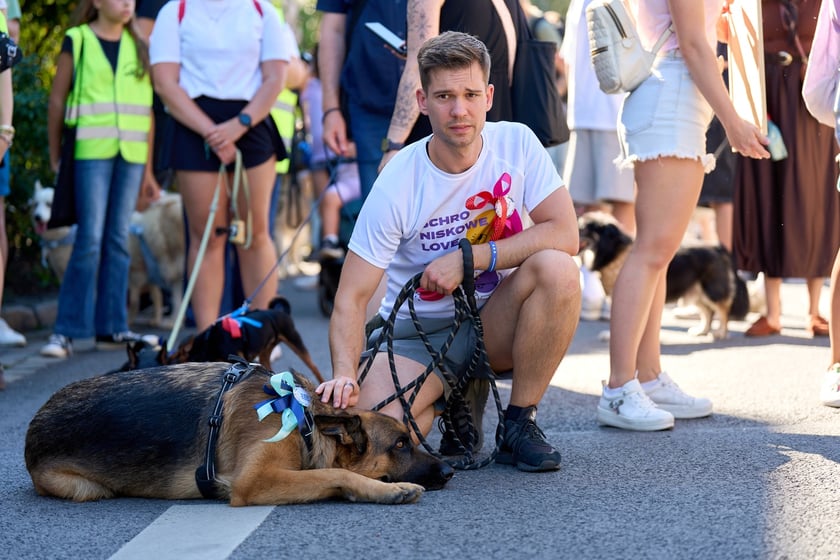 VI Parada Ps&oacute;w Wrocławskich przeszła przez miasto w niedzielę 21 września 2025&nbsp;