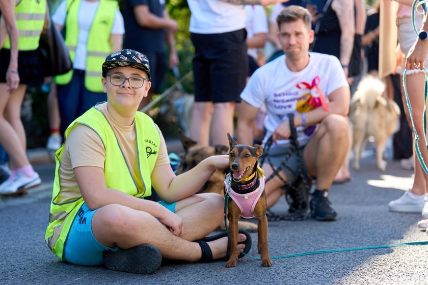 VI Parada Ps&oacute;w Wrocławskich przeszła przez miasto w niedzielę 21 września 2025&nbsp;
