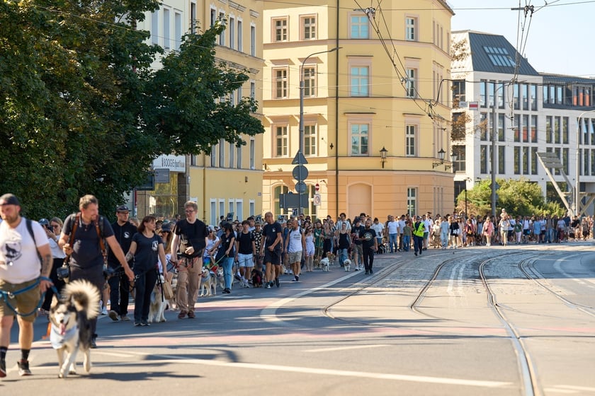 VI Parada Ps&oacute;w Wrocławskich przeszła przez miasto w niedzielę 21 września 2025&nbsp;