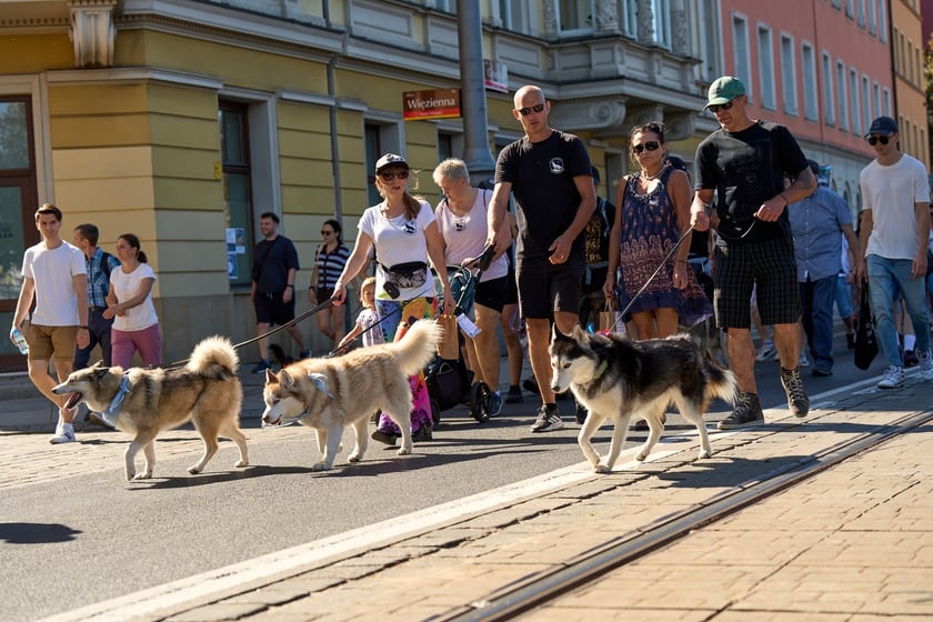 VI Parada Ps&oacute;w Wrocławskich przeszła przez miasto w niedzielę 21 września 2025&nbsp;
